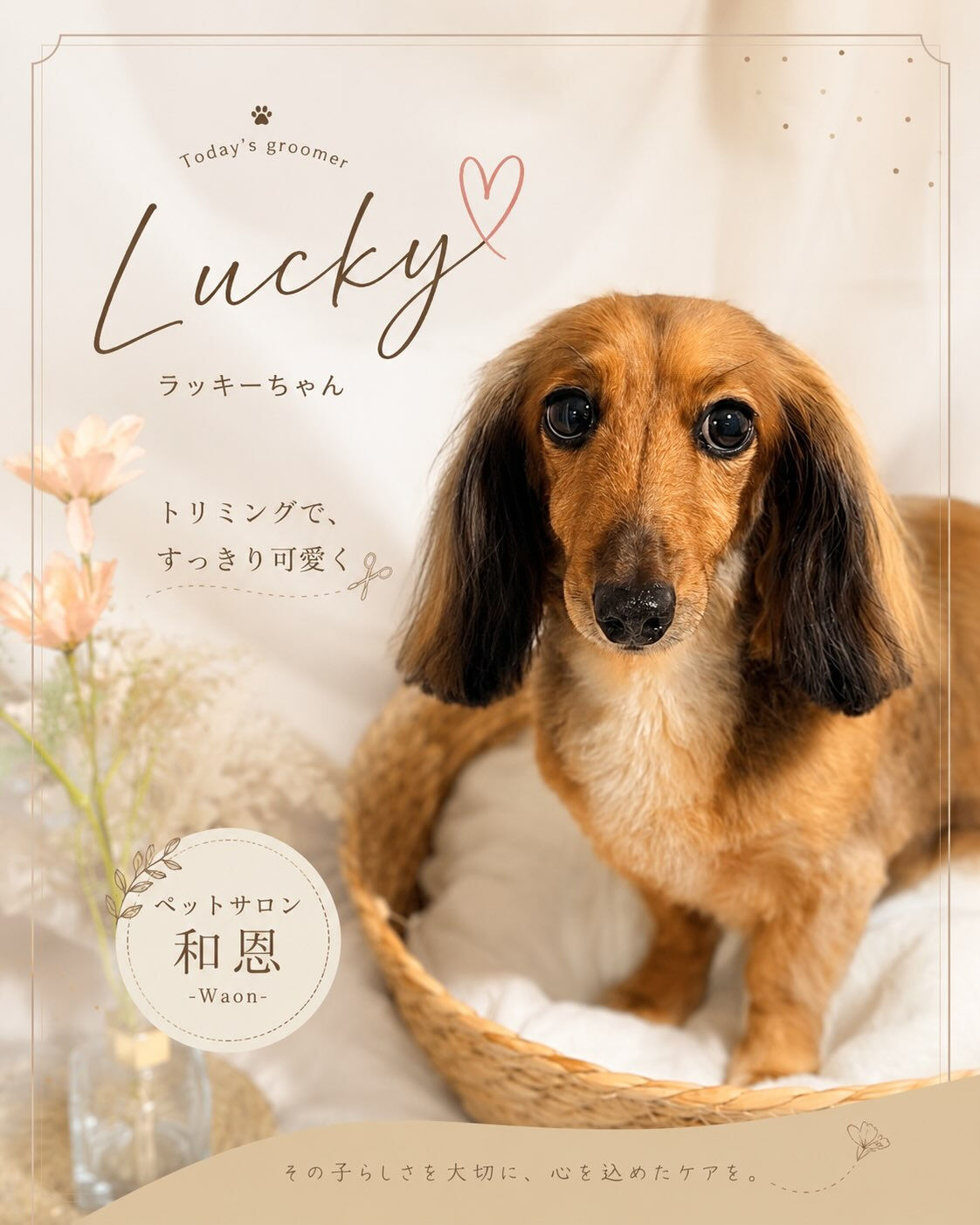 ダックスのラッキーちゃん🥰