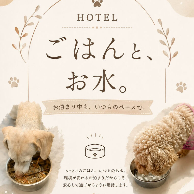 画像2518：ホテルで過ごす時間も、できるだけいつも通りに