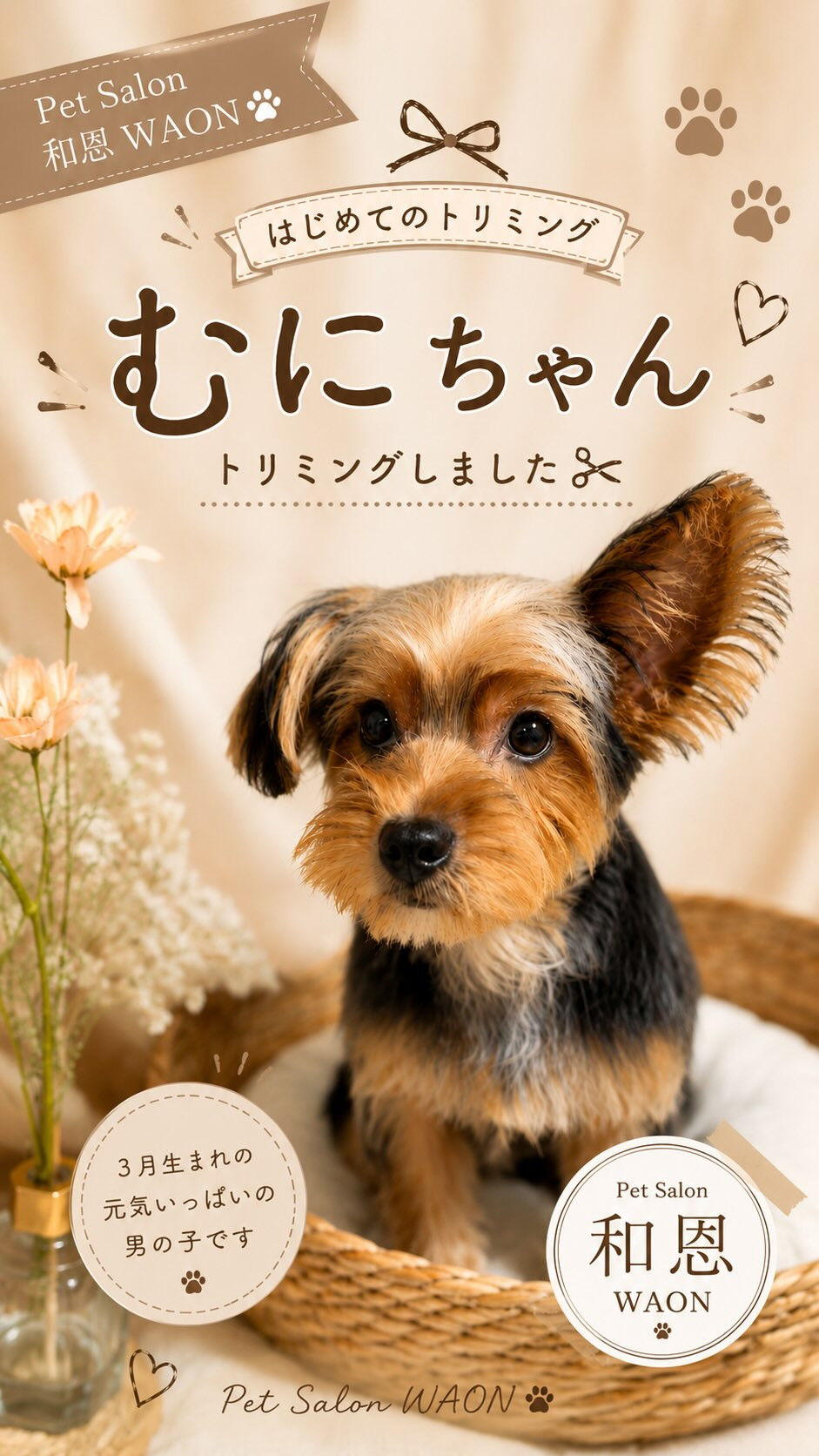 🐾ヨークシャテリアの むにちゃん✂️