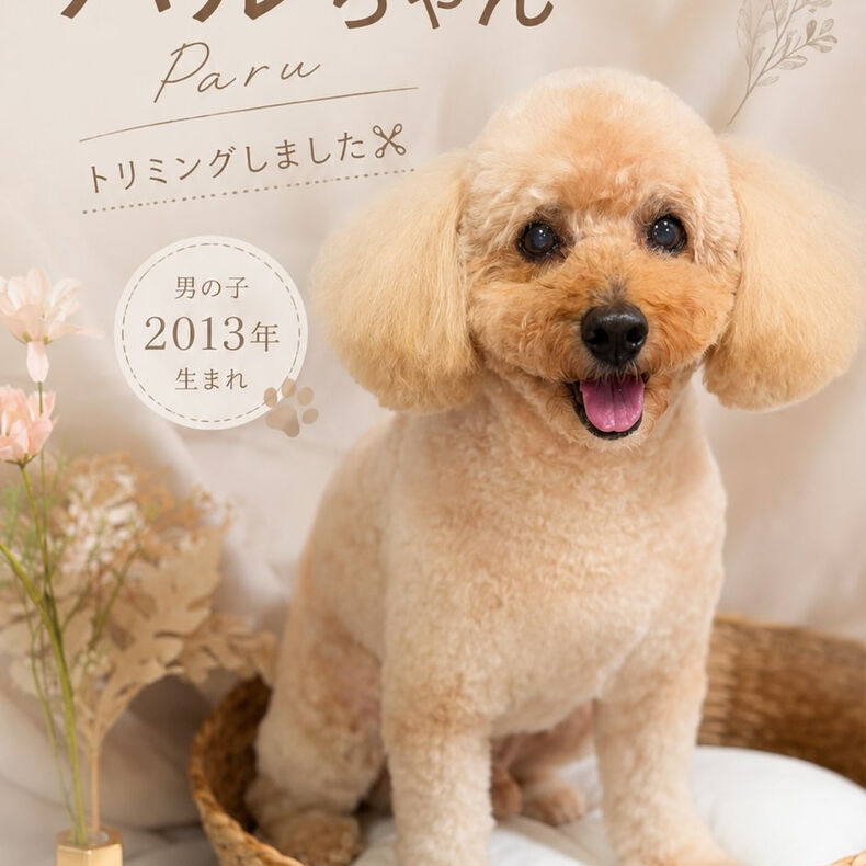 動画サムネイル