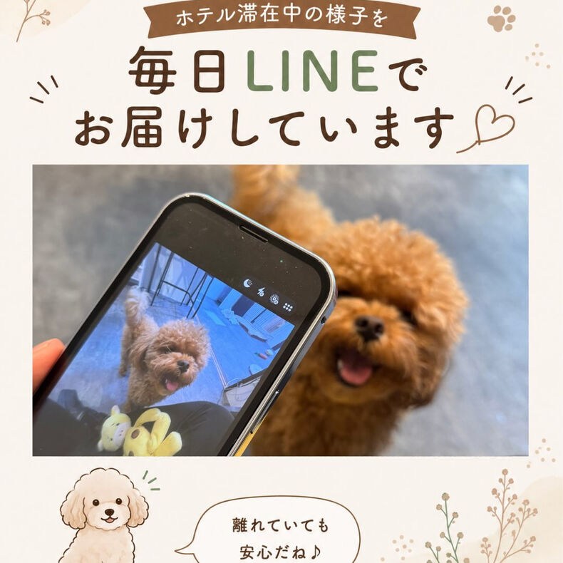 画像3035：ホテル滞在中も、少しでも安心していただけるように🐾