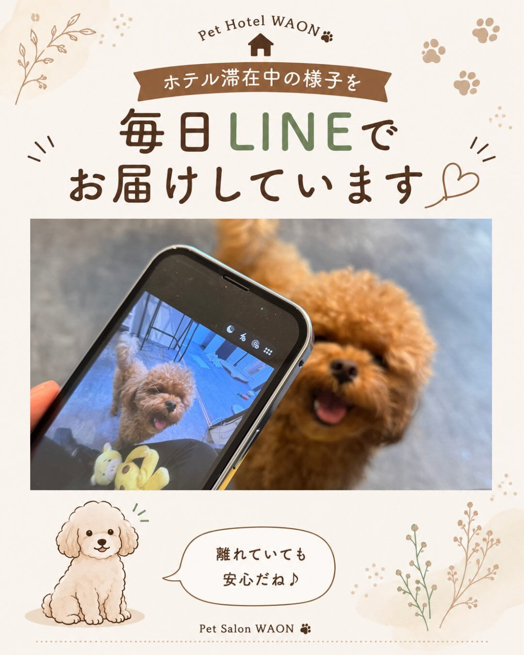 ホテル滞在中も、少しでも安心していただけるように🐾