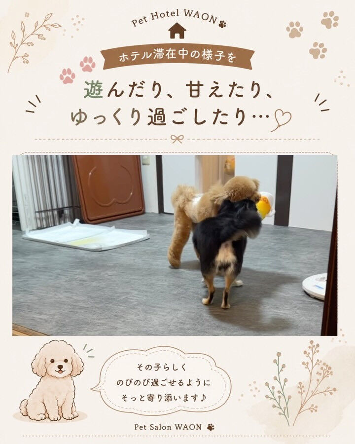 ホテル滞在中も、少しでも安心していただけるように🐾