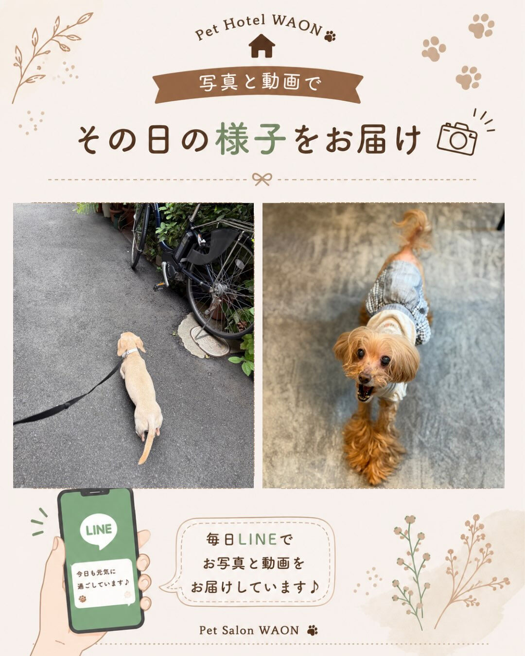 ホテル滞在中も、少しでも安心していただけるように🐾
