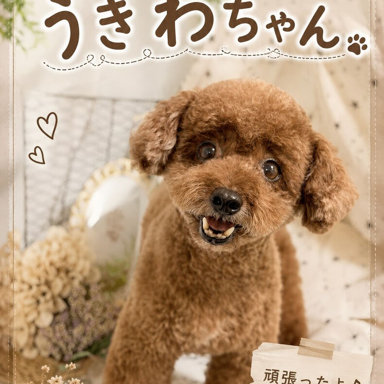 動画サムネイル