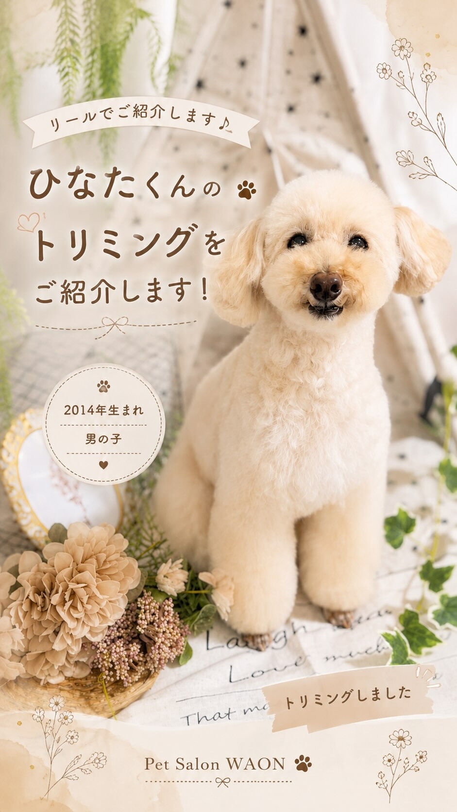 サムネイル