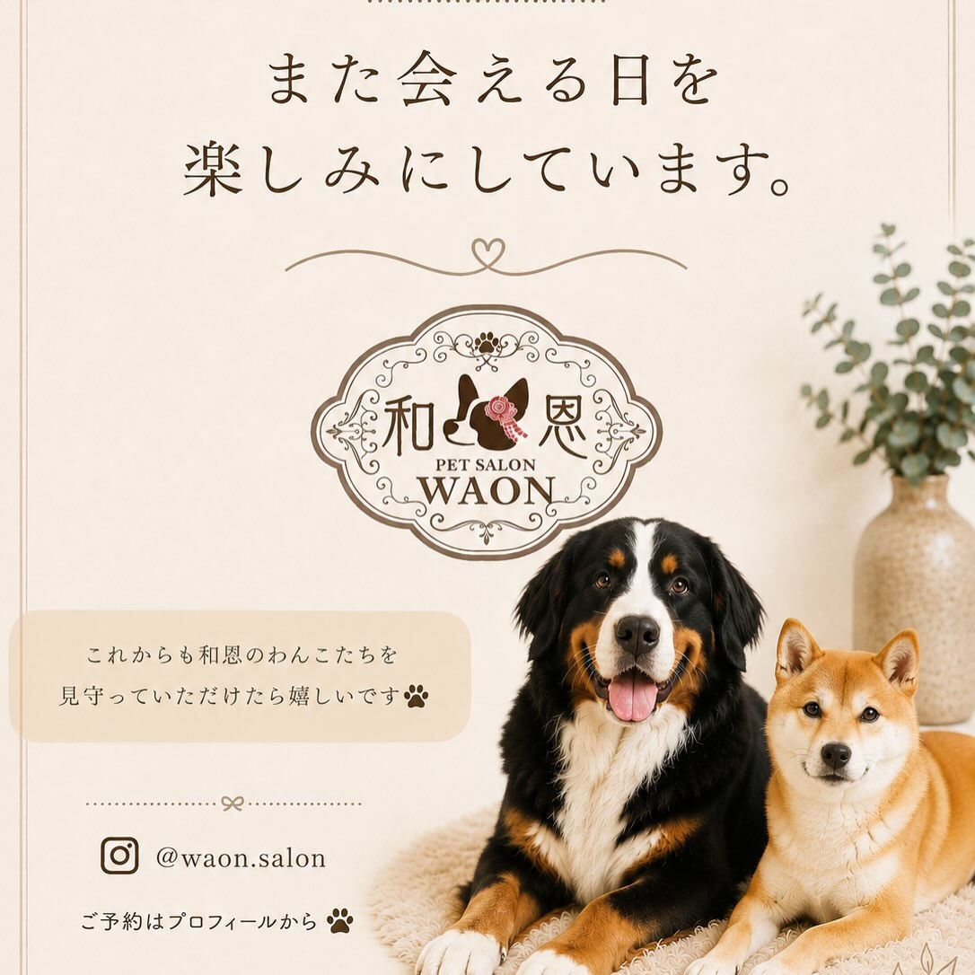 🐾 柴犬のまめちゃん🐾