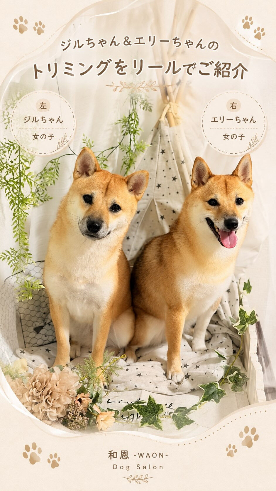 サムネイル