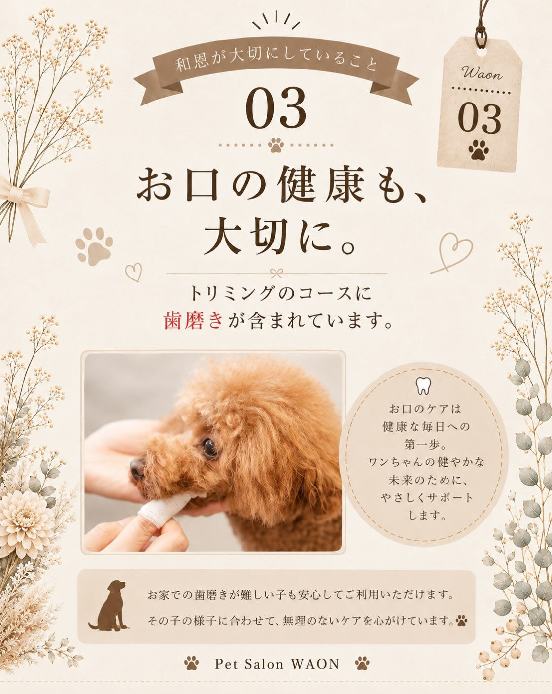 🐾 和恩が大切にしていること 03