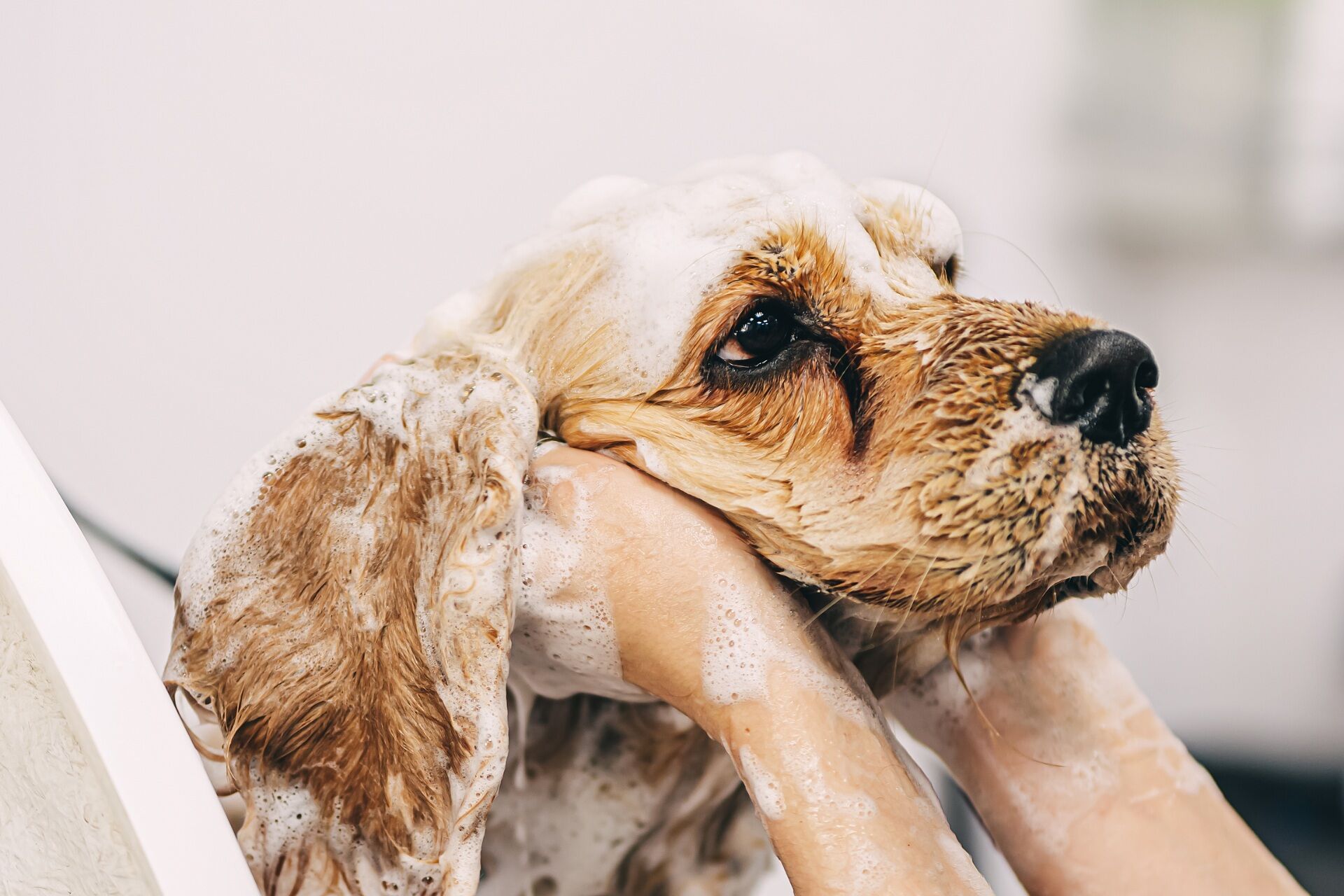 AdobeStock_504238659